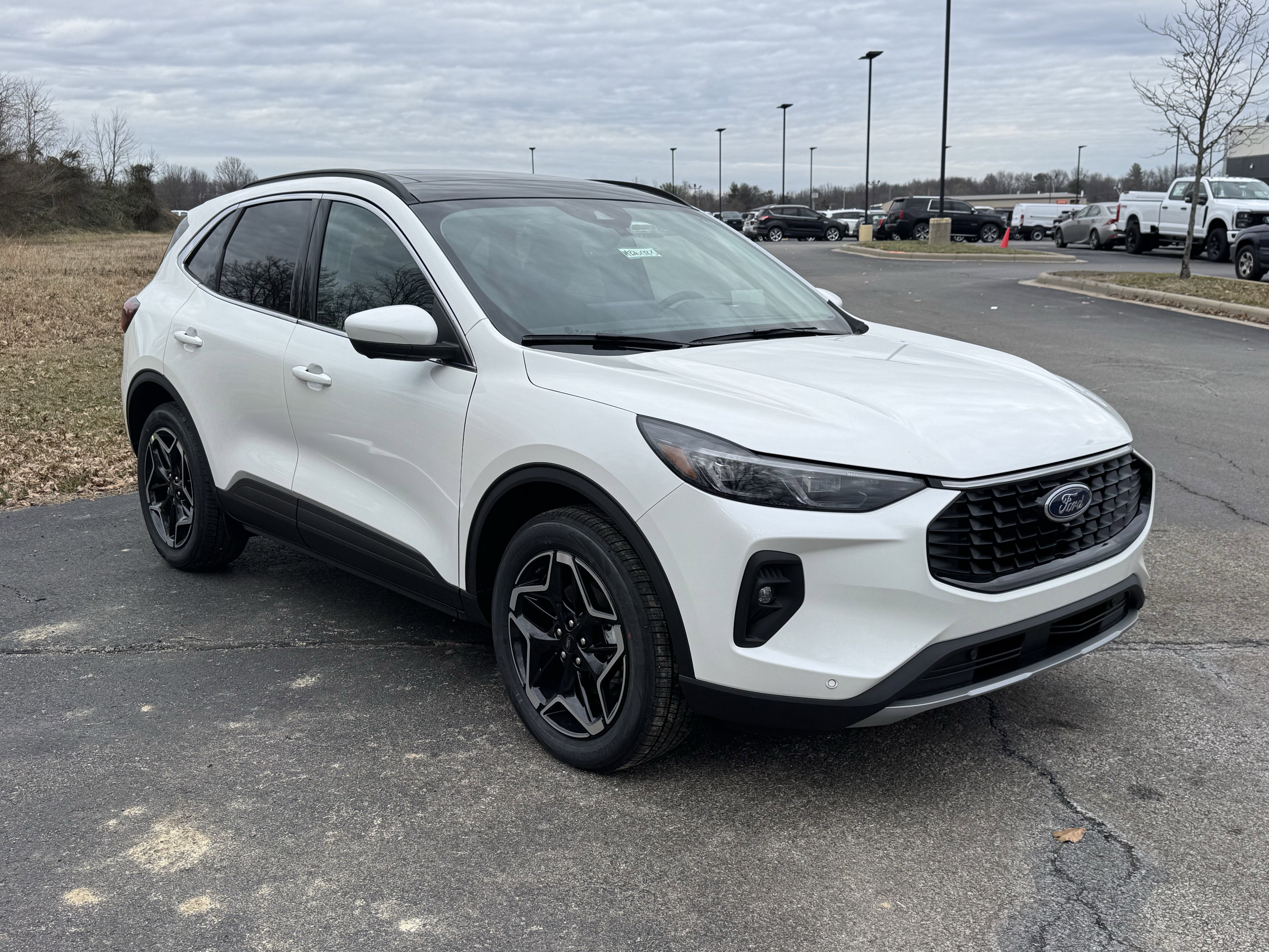 2026 Ford Escape Hybrid Platinum