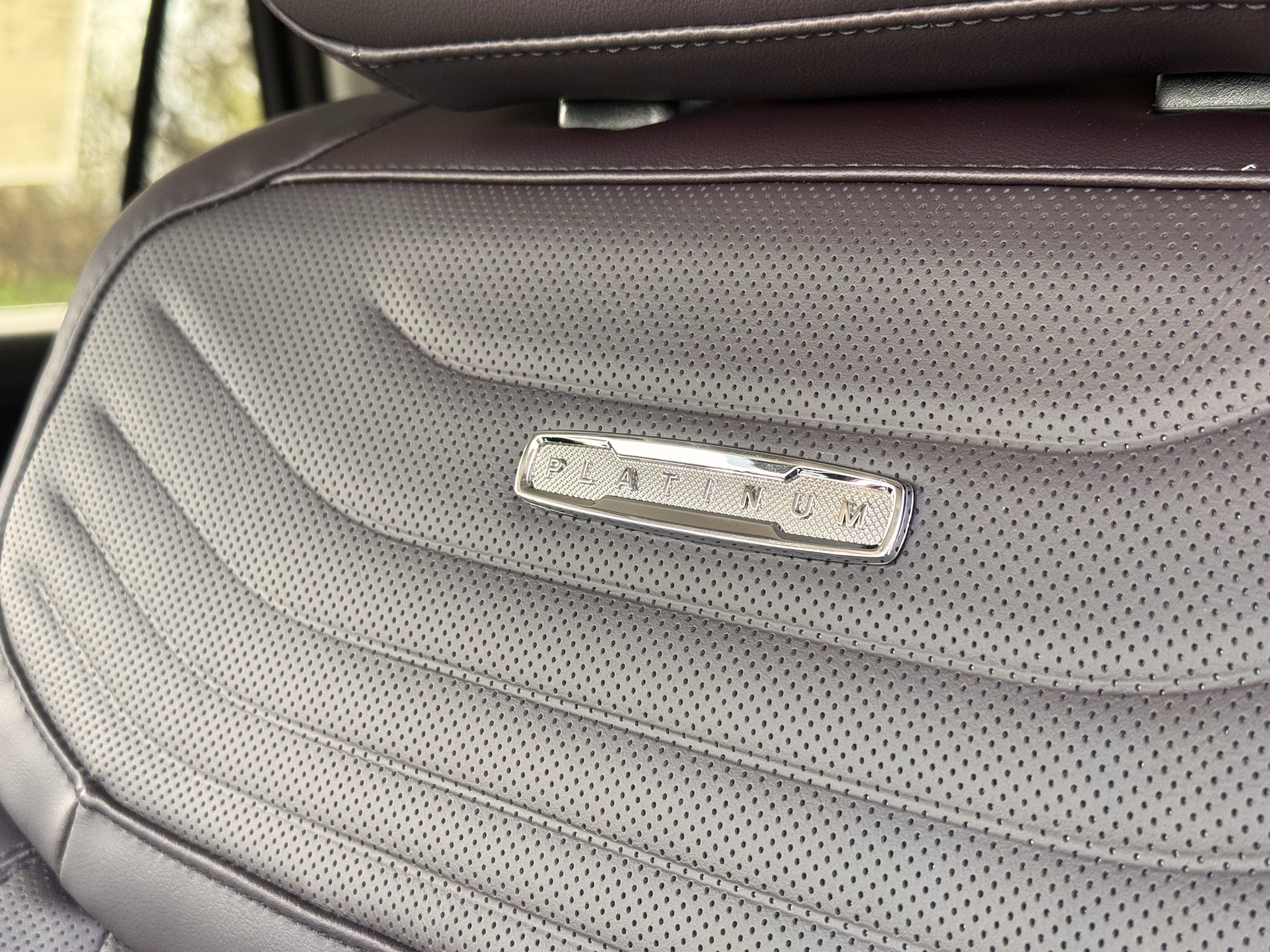 2026 Ford Expedition Max Platinum