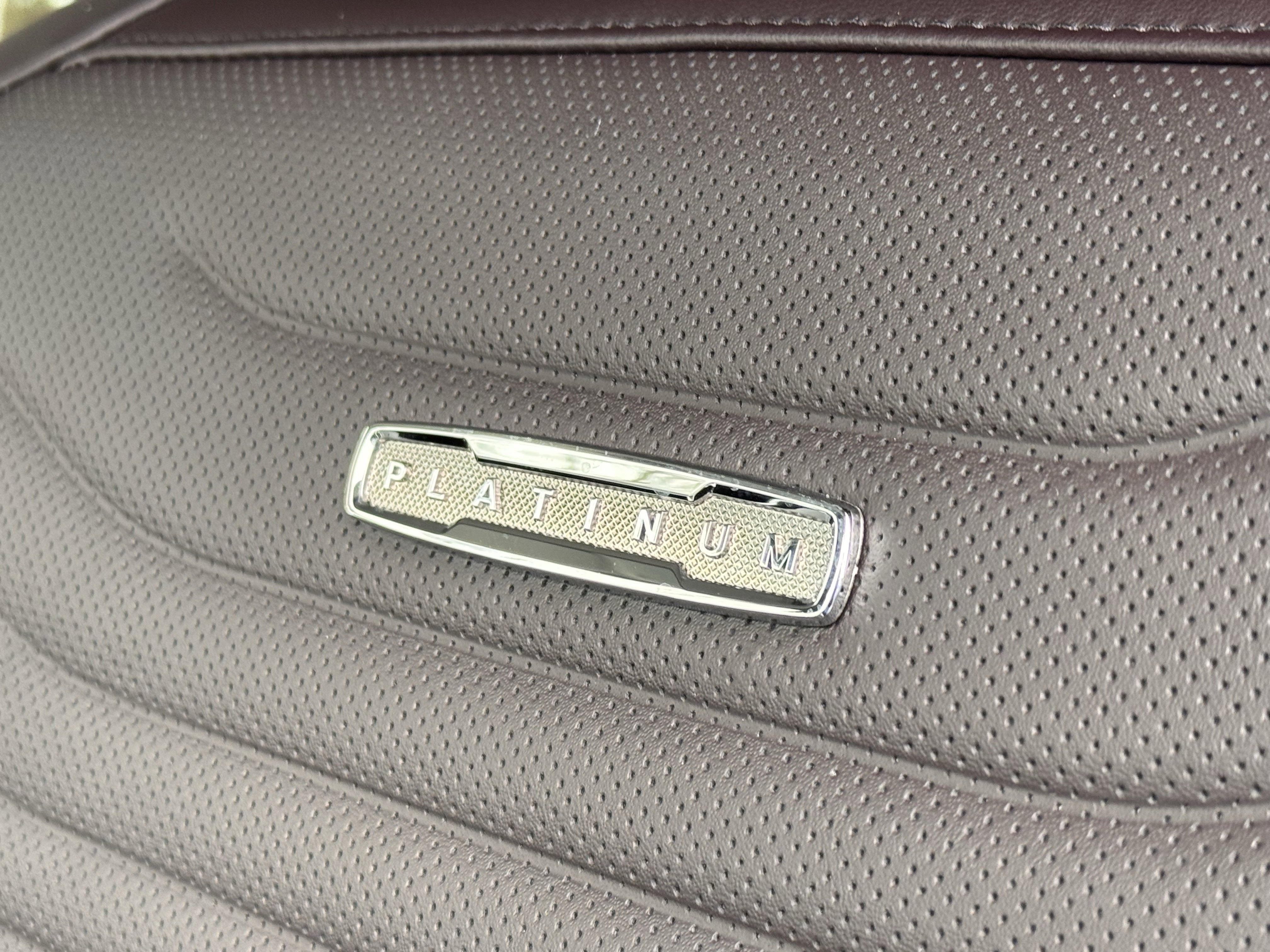 2026 Ford Expedition Platinum