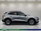 2021 Ford Escape Hybrid SEL