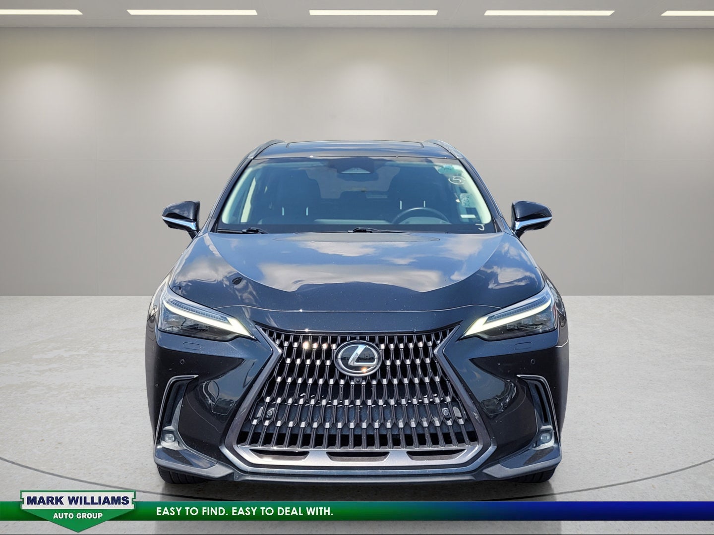2022 Lexus NX 450h+ Luxury
