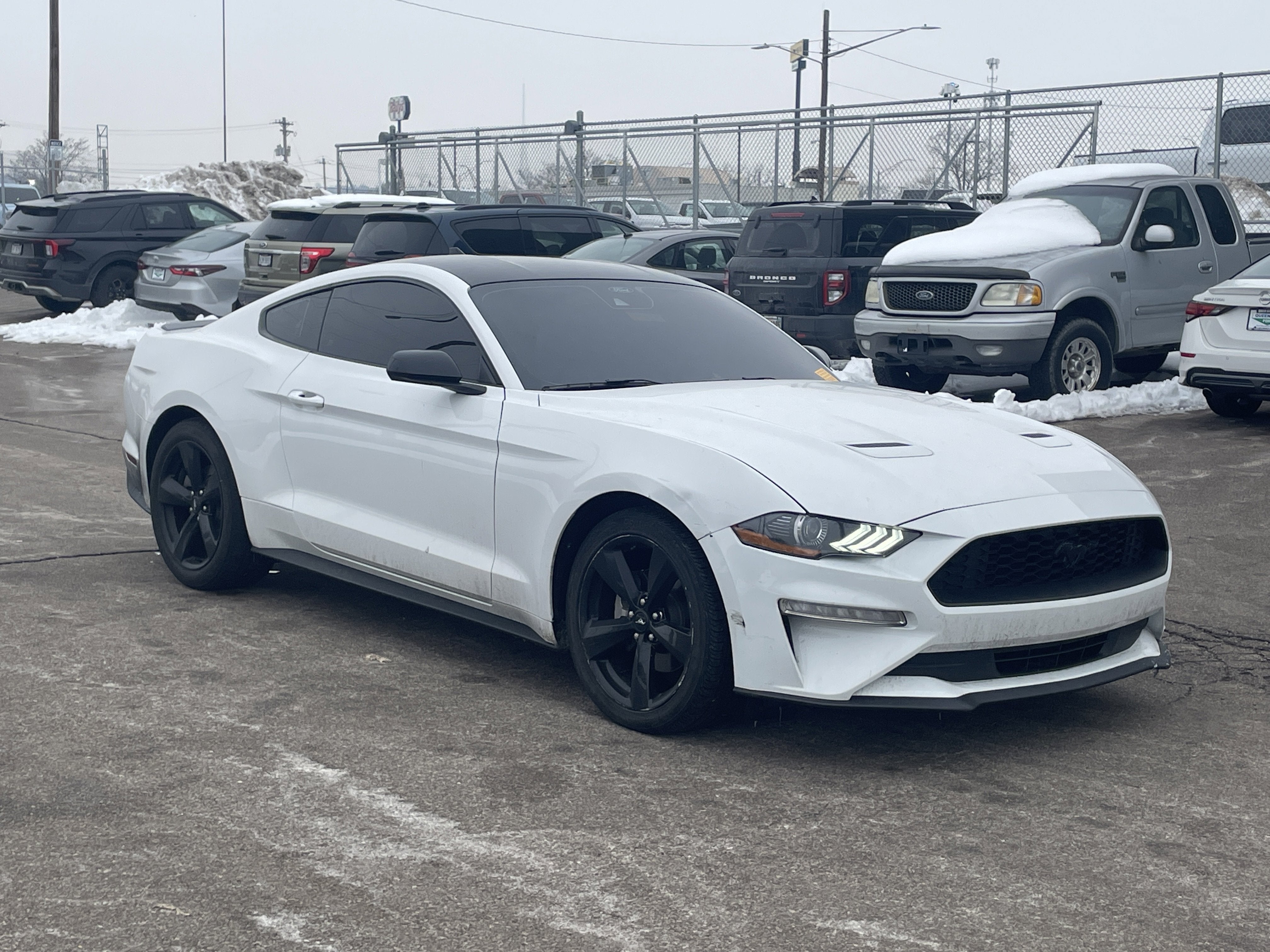 2023 Ford Mustang EcoBoost