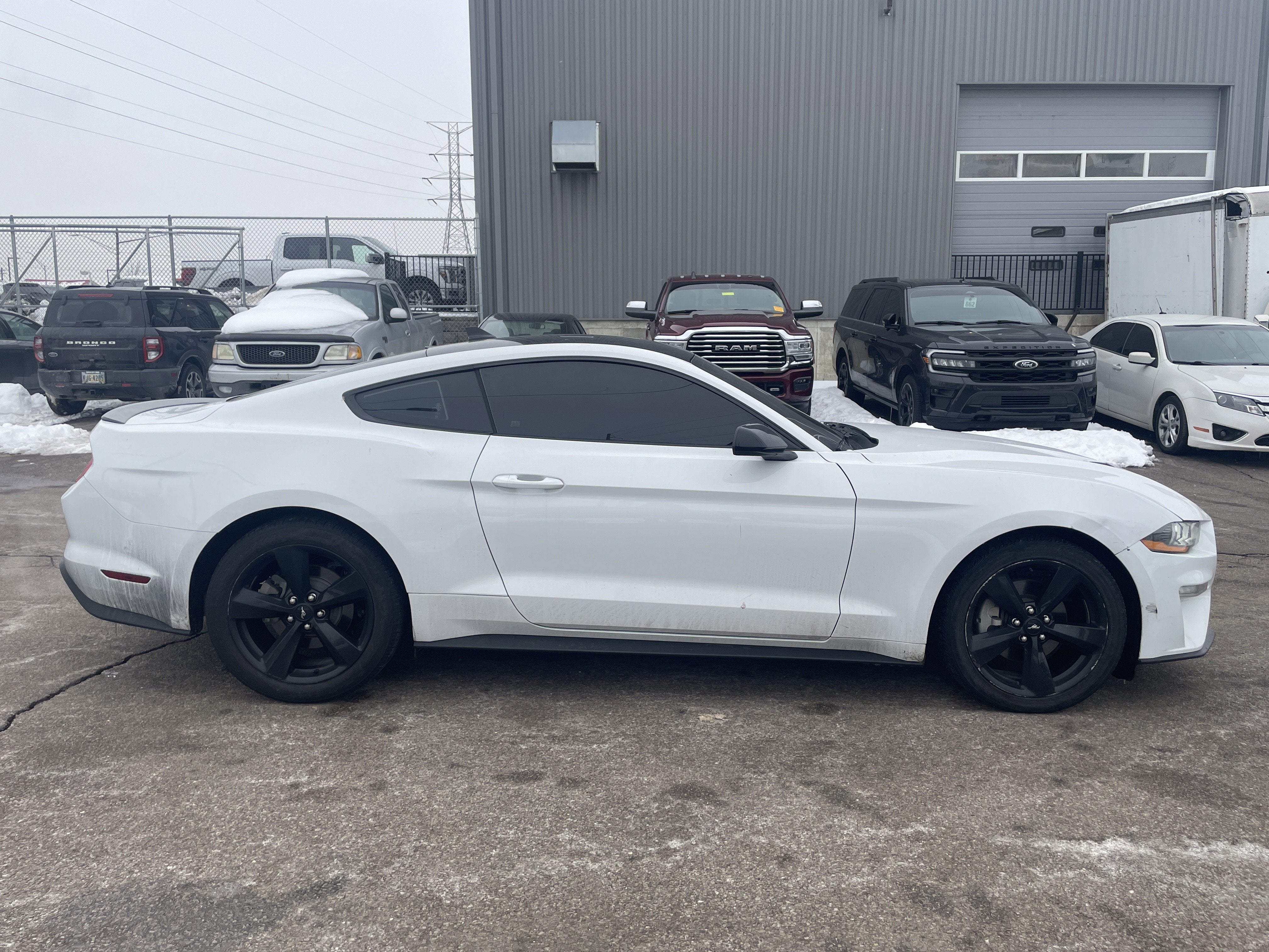 2023 Ford Mustang EcoBoost