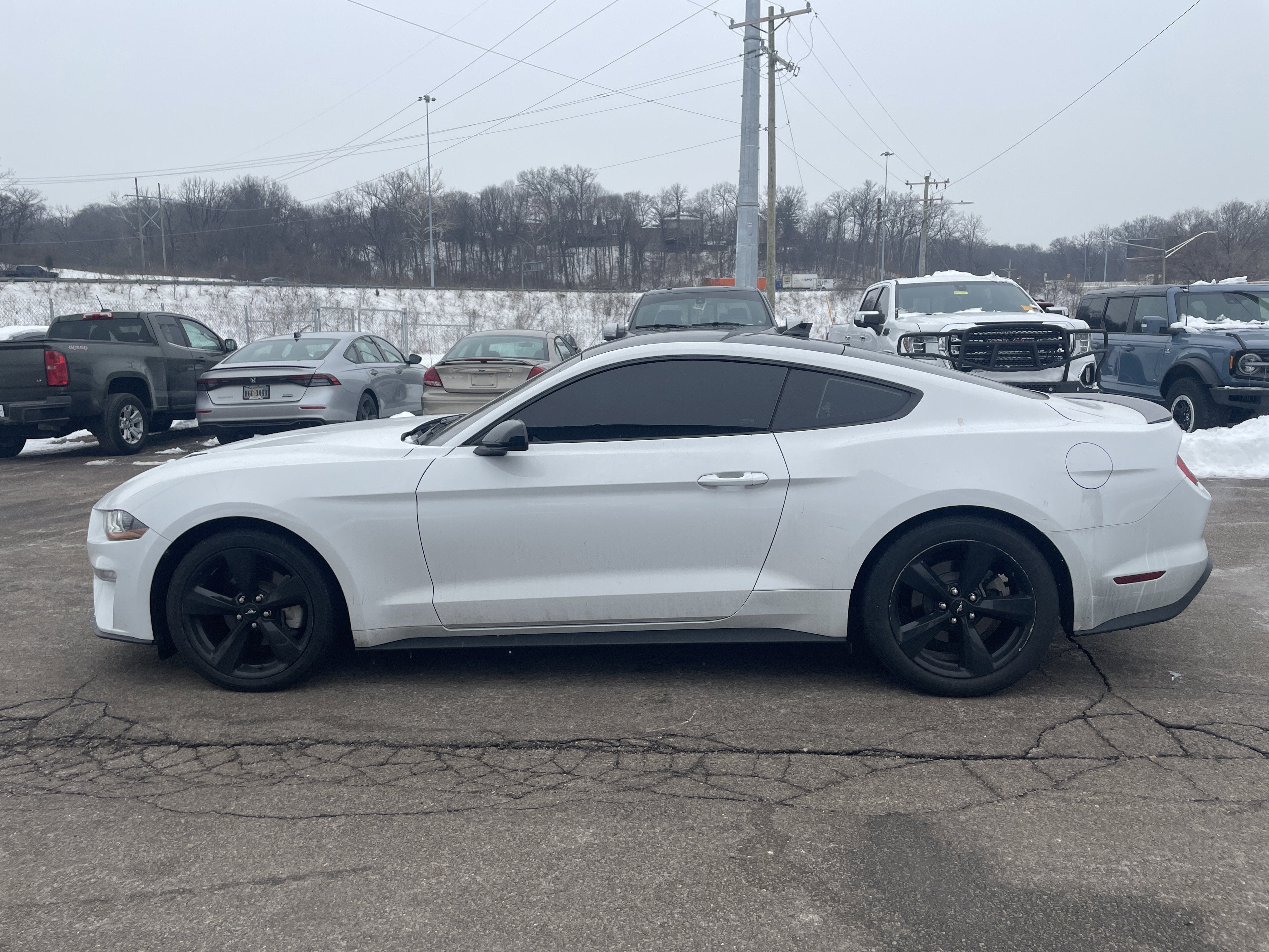2023 Ford Mustang EcoBoost