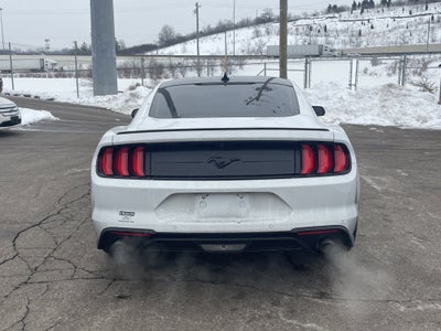 2023 Ford Mustang EcoBoost