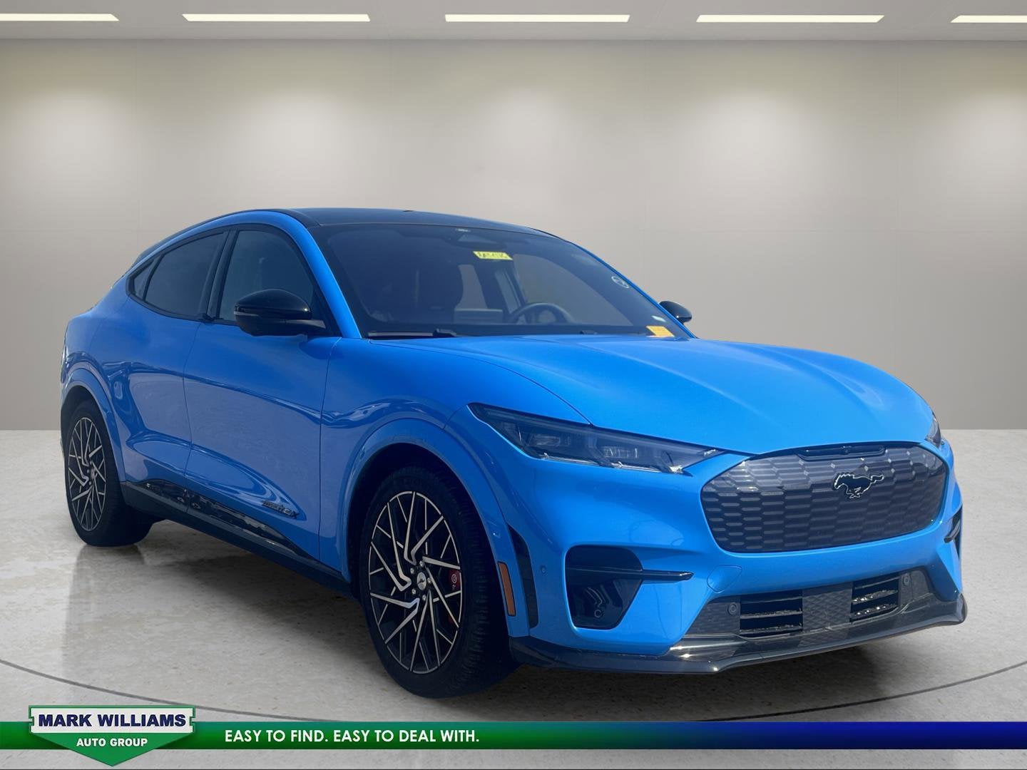 2021 Ford Mustang-Mach-e GT's photo