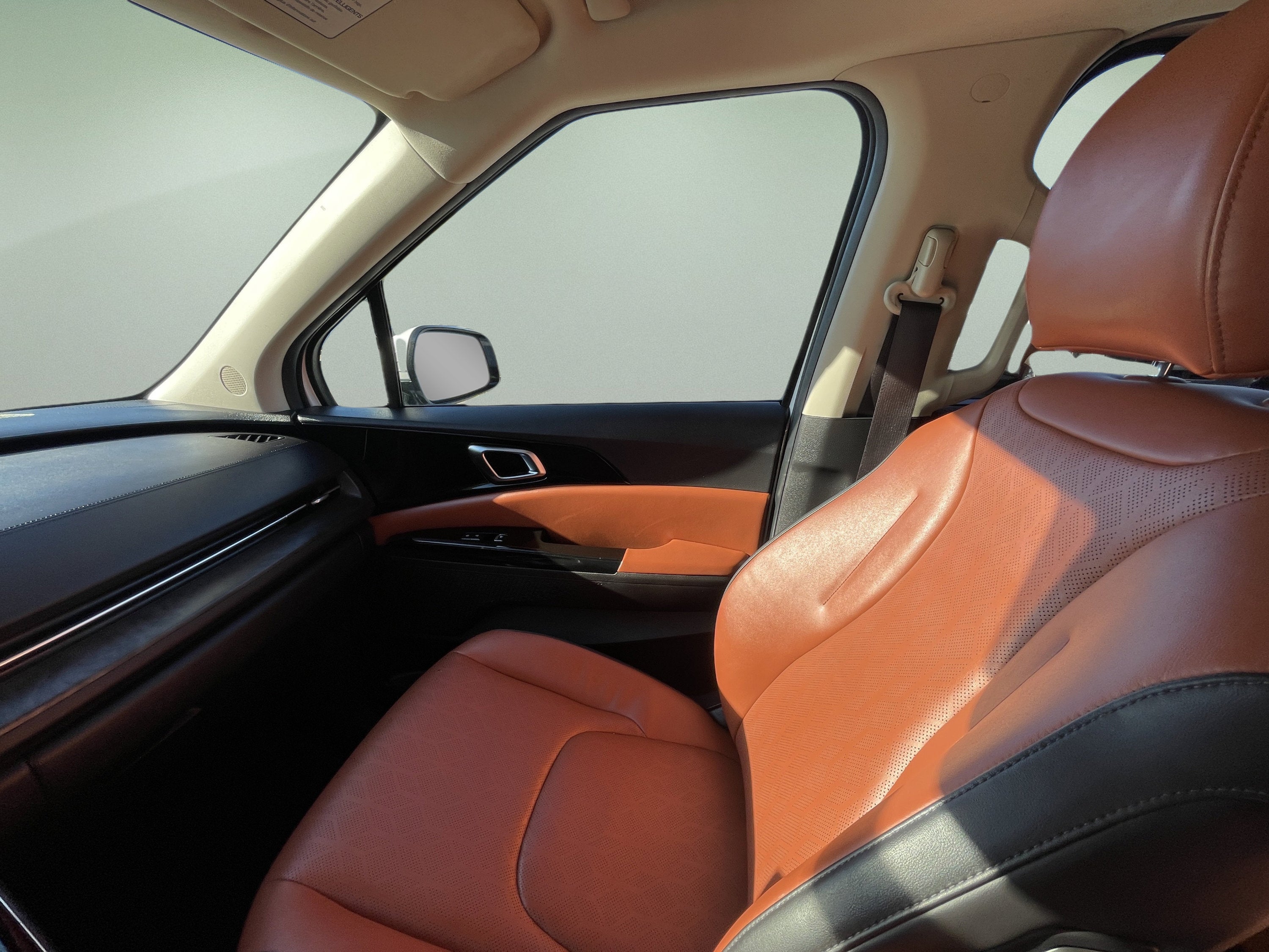 2024 Kia Carnival SX
